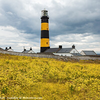Buy canvas prints of St.John's Lighthouse by jim Hamilton