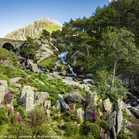 Buy canvas prints of Ogwen Falls, Snowdonia Wales by jim Hamilton