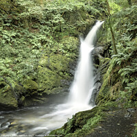 Buy canvas prints of Dolgoch waterfall Snowdonia. by jim Hamilton