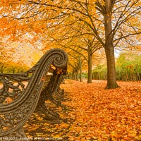 Buy canvas prints of Autumn In Regents Park by Raymond Hill