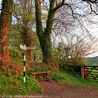 Buy canvas prints of Signpost at Near Sawrey, Cumbria by Robert Thrift
