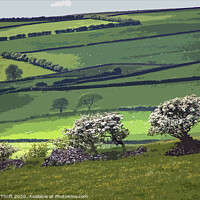 Buy canvas prints of Blackthorn near the Hoad, Ulverston by Robert Thrift