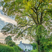 Buy canvas prints of Roadside cottages at Hannakin, Hawkshead by Robert Thrift