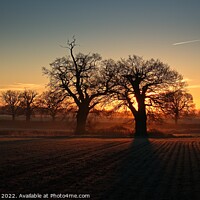 Buy canvas prints of Hertfordshire Sunrise by Stephen Oliver