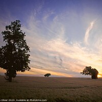 Buy canvas prints of The Bowing Tree by Stephen Oliver