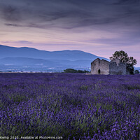 Buy canvas prints of Morning Lavender by Michael Kemp