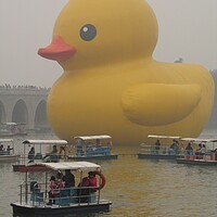 Serene Summer Palace Giant Duck