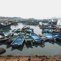 Busy Harbour