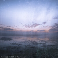 Buy canvas prints of Mist & cloud by Bhagwat Tavri