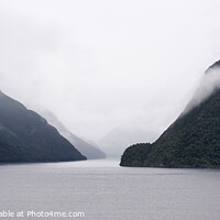 Buy canvas prints of Milford Sound  by Sylvia White