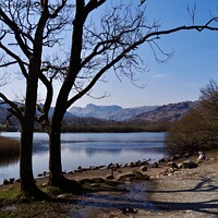 Buy canvas prints of Loughrigg Tarn by Sylvia White