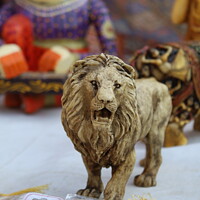 Buy canvas prints of Lion by anurag gupta