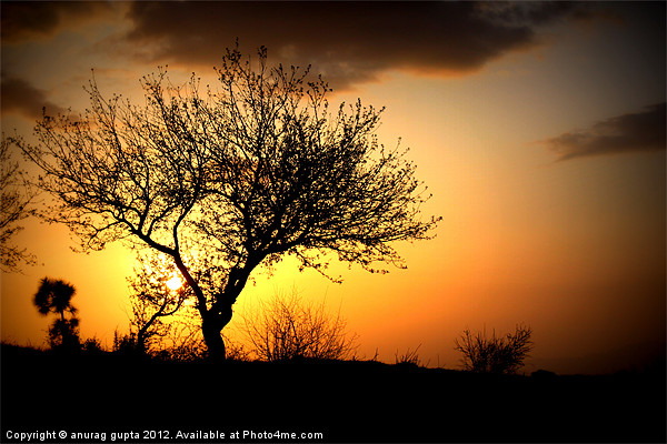 serene sunset Picture Board by anurag gupta