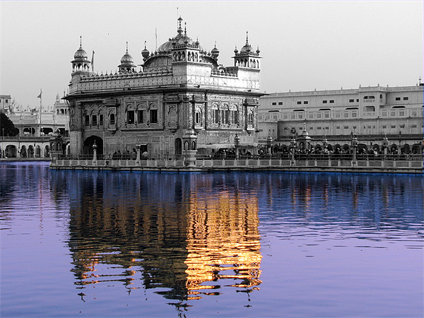 reflection of the golden temple in the Amrit Sarov Picture Board by anurag gupta