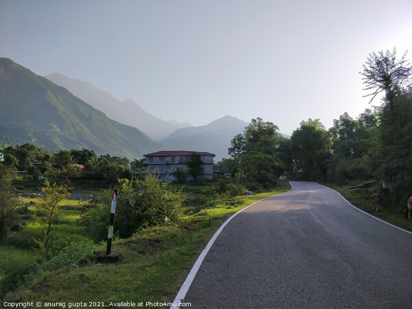 Road to Palampur Picture Board by anurag gupta