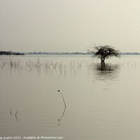 Buy canvas prints of tree in a lake by anurag gupta