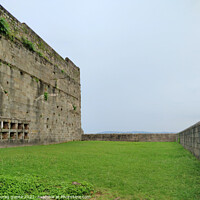 Buy canvas prints of Old Fort by anurag gupta