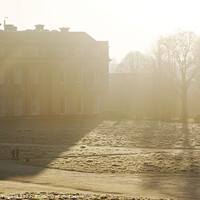 Buy canvas prints of Petworth Park and House by Chester Tugwell