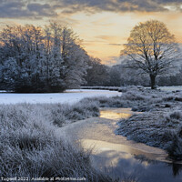 Buy canvas prints of Wintery Morning at Petworth Park by Chester Tugwell
