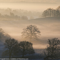 Buy canvas prints of Petworth Park - Winter's Morning  by Chester Tugwell