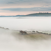 Buy canvas prints of Cloud Inversion on the South Downs, Steyning Bowl by Chester Tugwell