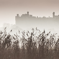 Buy canvas prints of Arundel Castle Shrouded in Fog by Chester Tugwell