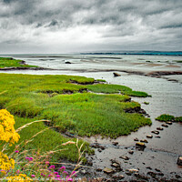 Buy canvas prints of Lougher Estuary Penclawdd by Peter Thomas