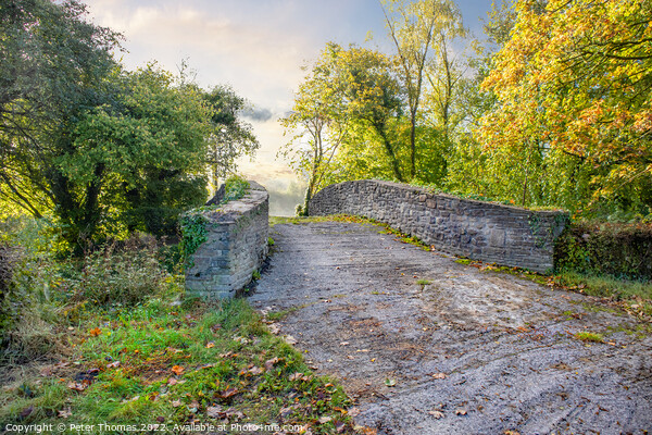 Serene Autumn Stone Bridge Neath canal Picture Board by Peter Thomas