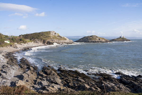 Bracelet Bay and Mumbles Lighthouse Picture Board by Peter Thomas