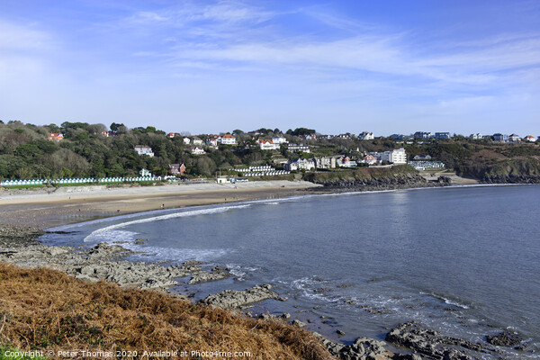 Langland Bay Gower Coast Picture Board by Peter Thomas
