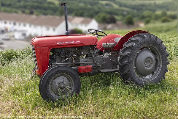 Massey Ferguson 35 Picture Board by Peter Thomas