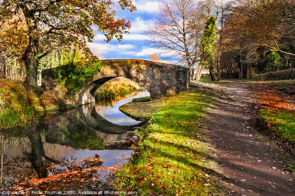Neath canal and bridge in autumn Picture Board by Peter Thomas