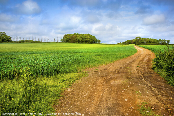 Serene Farm Track Picture Board by Peter Thomas