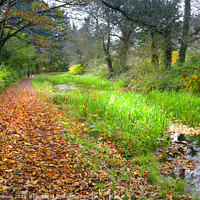 Buy canvas prints of A Serene Autumn Stroll by Peter Thomas