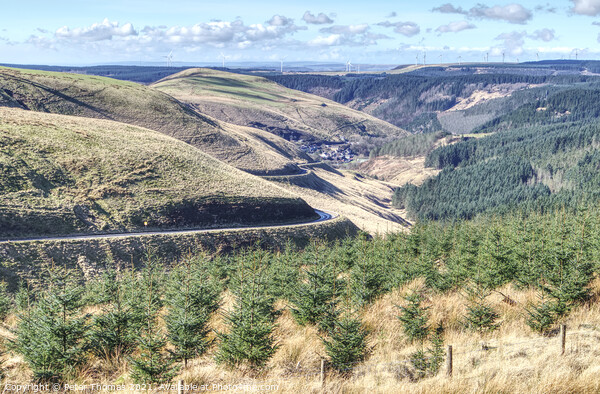Majestic Views of Afan Valley Picture Board by Peter Thomas