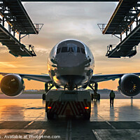 Buy canvas prints of A Marvel of Aviation Engineering the Dreamliner by Peter Thomas