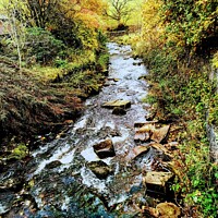 Buy canvas prints of Clough Brook on Autumn Morning  by Samantha Smith