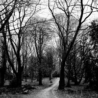 Buy canvas prints of Shipley Park in moody Black and White by Samantha Smith