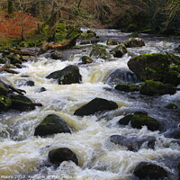 Buy canvas prints of River at Dewerstone by Stewart Moore