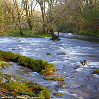Buy canvas prints of View on the River Dart by Stewart Moore