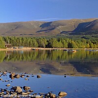 Buy canvas prints of A Peaceful Loch Morlich by Charles Kelly