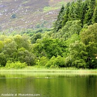 Buy canvas prints of Boat House Reflections on Loch Alvie by Charles Kelly