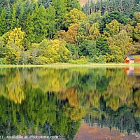 Buy canvas prints of Loch Alvie Reflections by Charles Kelly