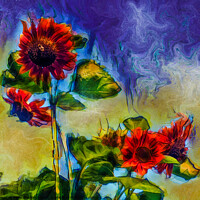 Buy canvas prints of Sunflowers by David Buckland