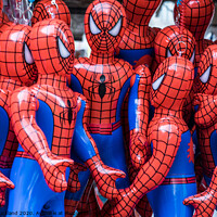Buy canvas prints of A Cluster Of Spider men. by David Buckland