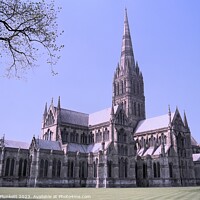 Buy canvas prints of Salisbury Cathedral by Kevin Plunkett