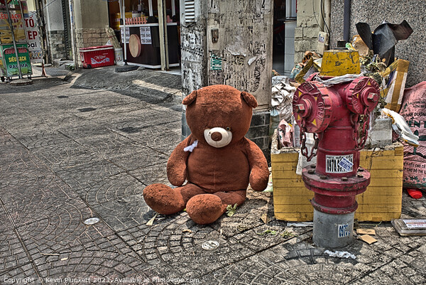 Unwanted Teddy Bear. Saigon ( Ho Chi Minh City) Vietnam. Picture Board by Kevin Plunkett