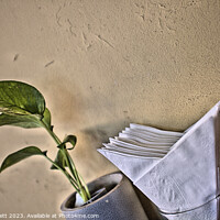 Buy canvas prints of Wall, Plant and Napkin  by Kevin Plunkett