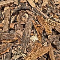 Buy canvas prints of Wood by Kevin Plunkett