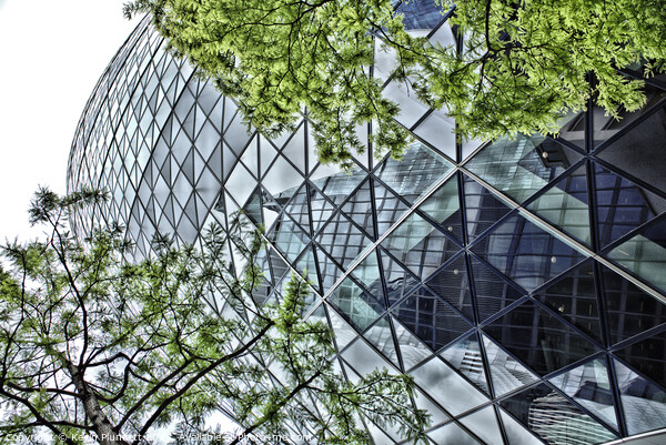 The Gherkin. City of London. Picture Board by Kevin Plunkett